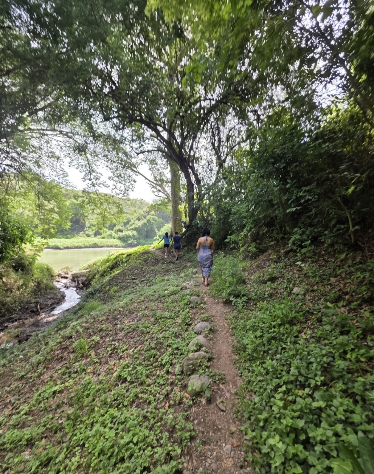 Family walking along a green riverside trail in Chiapas