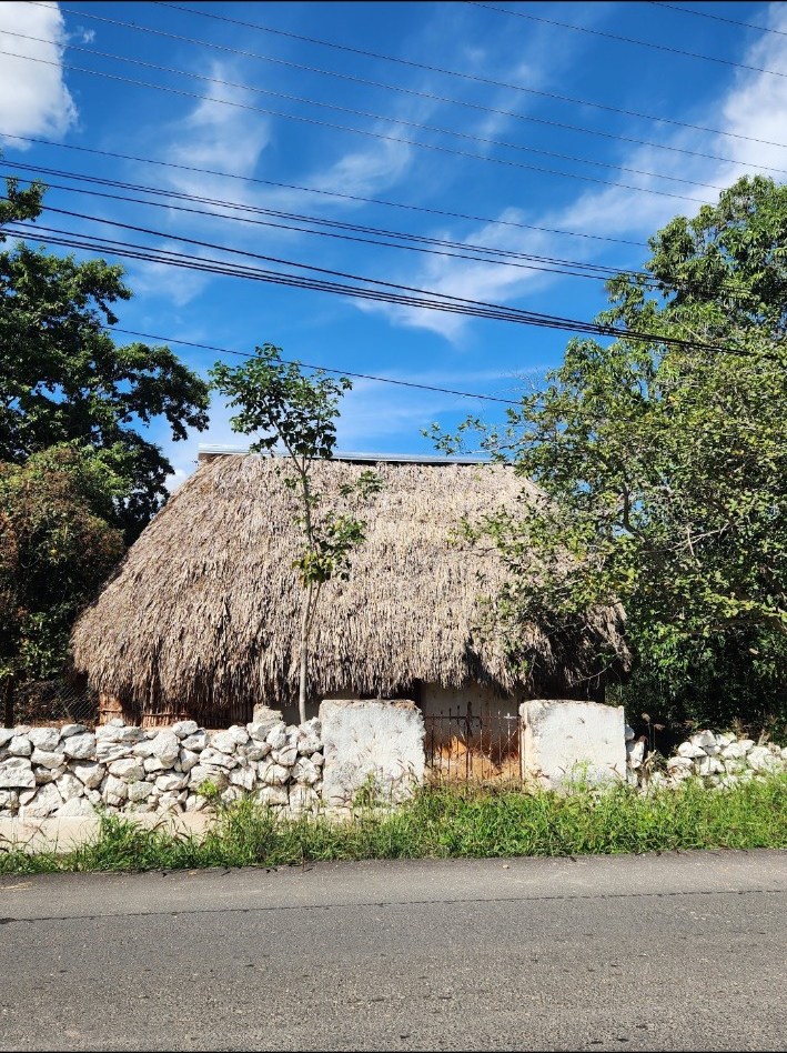Traditional thatched building behind a stone wall